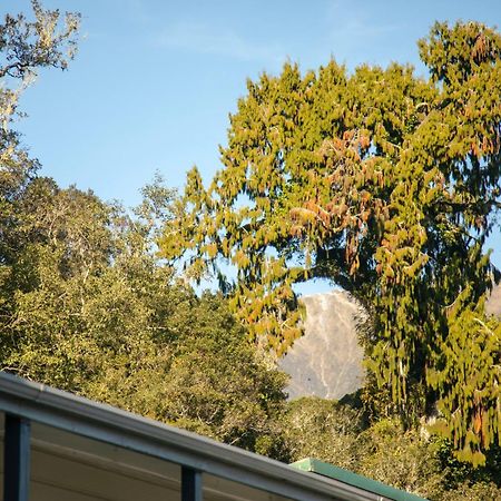 Ivorytowers Accommodation Fox Glacier Exteriör bild